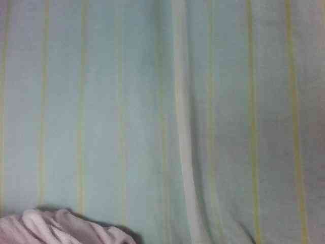 Laurencia12 webcam