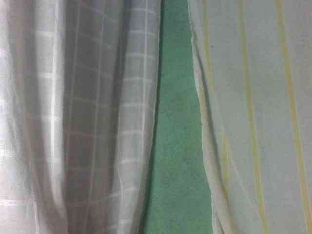 Laurencia12 webcam
