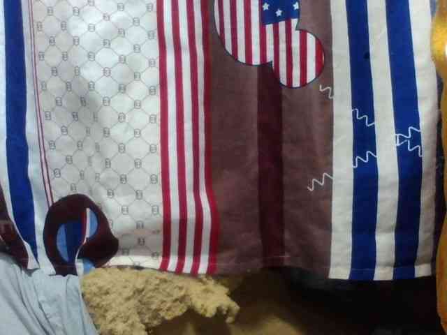 Laurencia12 webcam