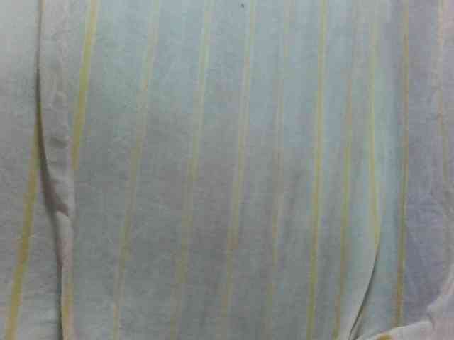 Laurencia12 webcam