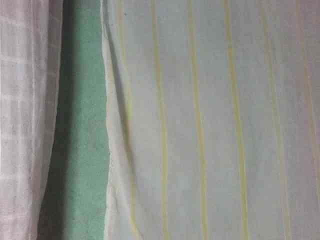 Laurencia12 webcam