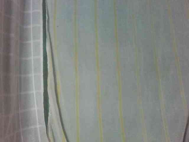 Laurencia12 webcam