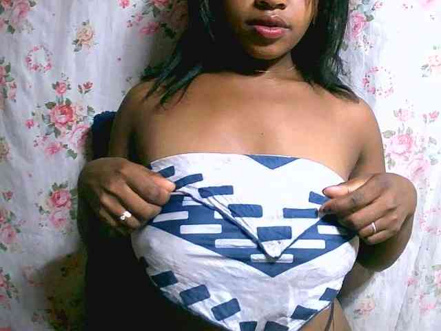 Laurencia12 Laurencia12