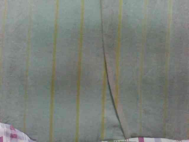 Laurencia12 webcam