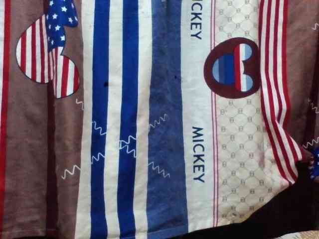 Laurencia12