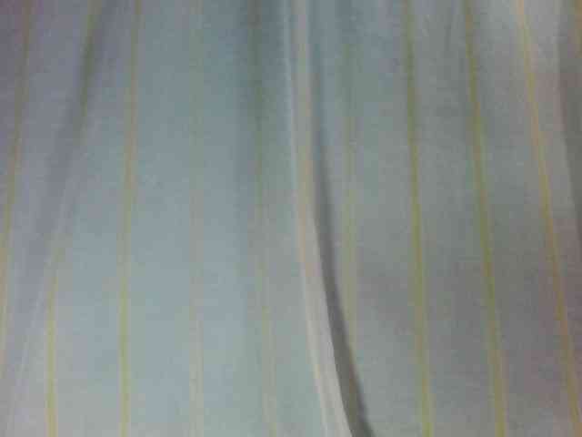 Laurencia12 webcam