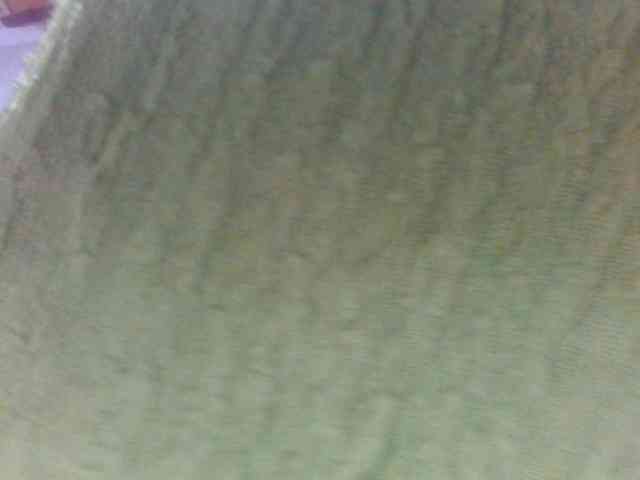 Laurencia12 webcam