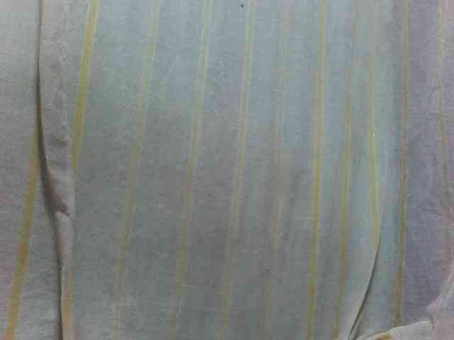 Laurencia12 webcam