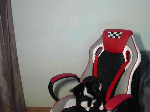 Dulcyneea webcam