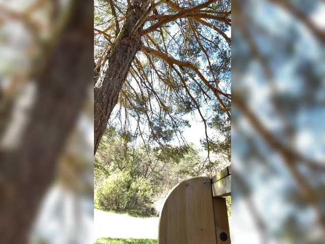 Emy-Lana's BongaCams show and profile