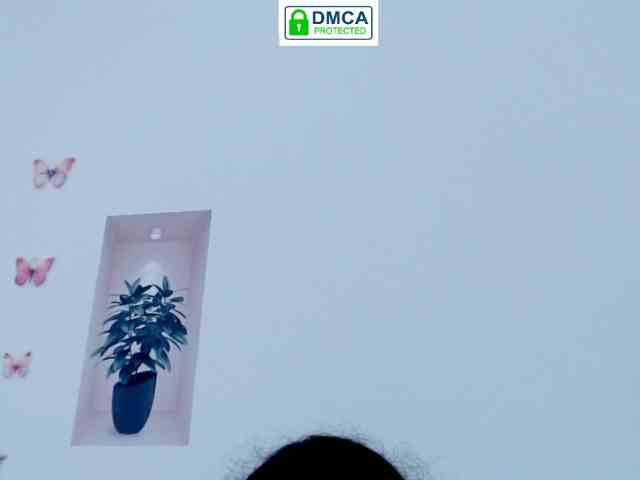 Kixzkir webcam