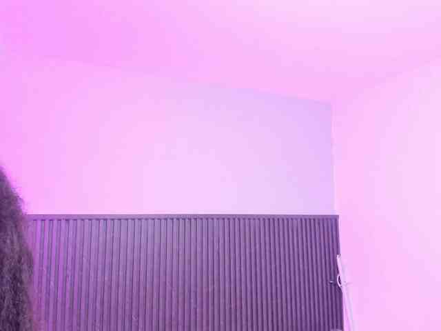 Bonnie-Hartman webcam