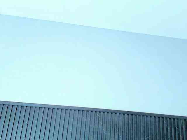 Bonnie-Hartman webcam