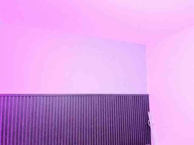 Bonnie-Hartman webcam