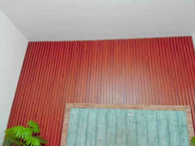Bonnie-Hartman webcam