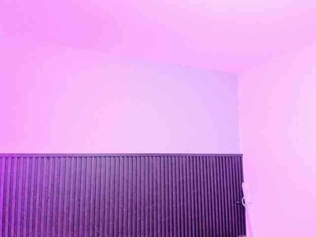 Bonnie-Hartman webcam