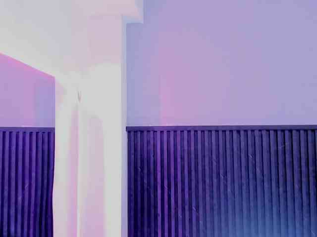 Bonnie-Hartman webcam