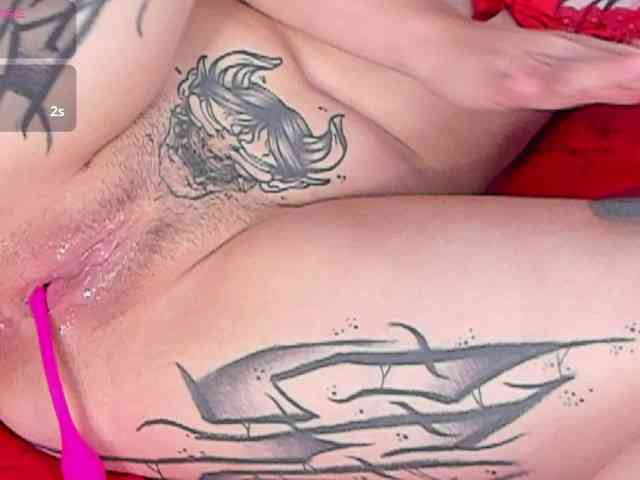 Shellcyy webcam