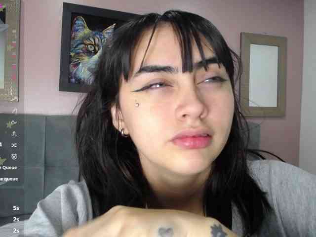 Shellcyy webcam