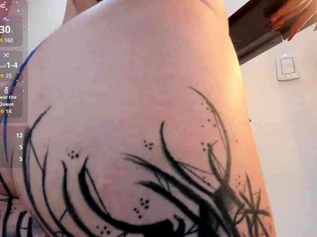 Shellcyy webcam