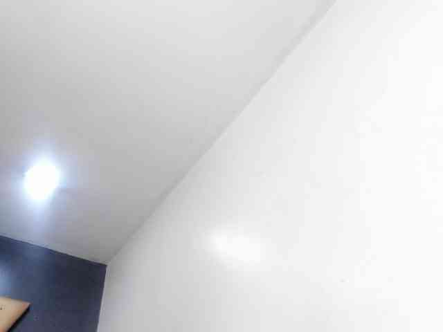 Shellcyy webcam