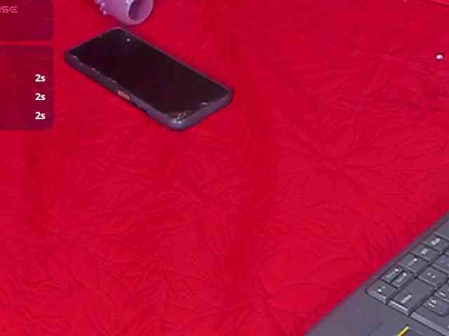Shellcyy webcam