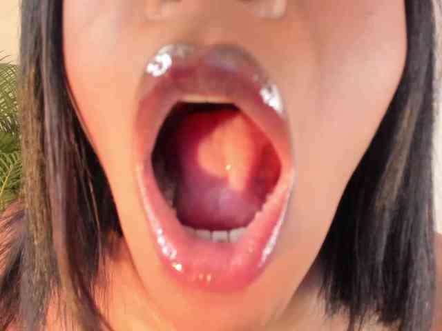 laylacarteer webcam