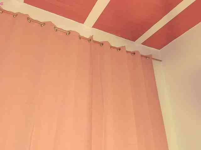 laylacarteer webcam