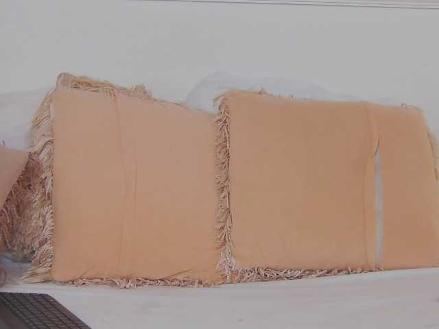 CharlotteDilucca webcam