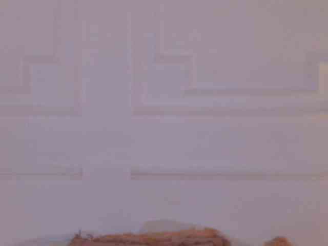 CharlotteDilucca webcam