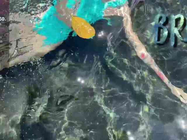 Anuskatz-v2 Anuskatz-v2