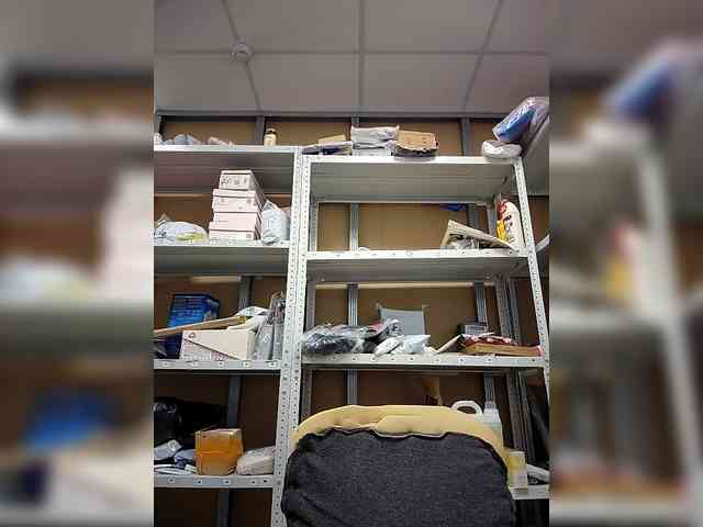 KITTYtempreXXX webcam