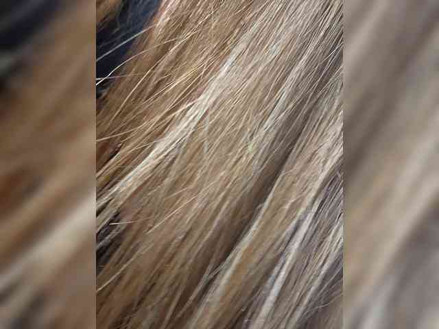 KITTYtempreXXX webcam