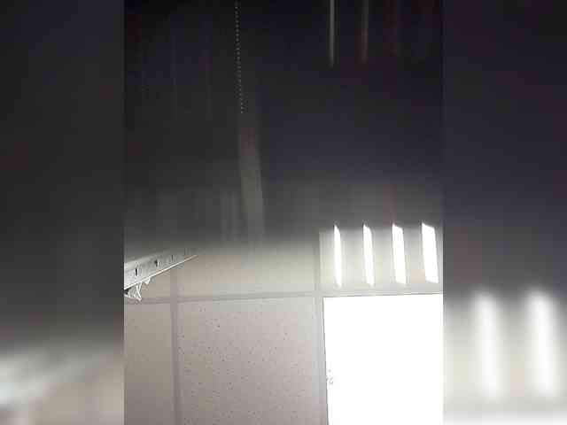 KITTYtempreXXX webcam