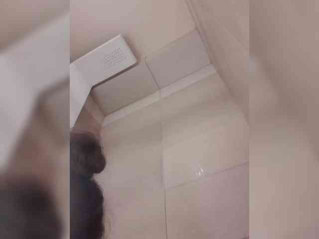 KITTYtempreXXX webcam