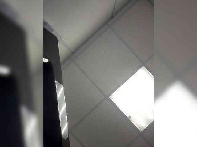 KITTYtempreXXX webcam