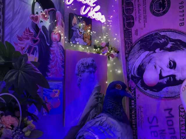 AmyGlad from BongaCams is Freechat