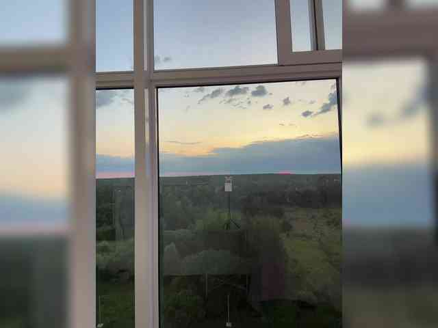 dikidii webcam