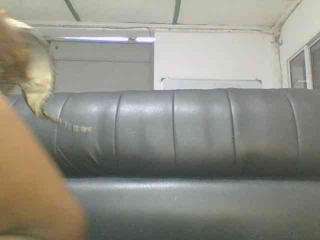 Anique24 webcam