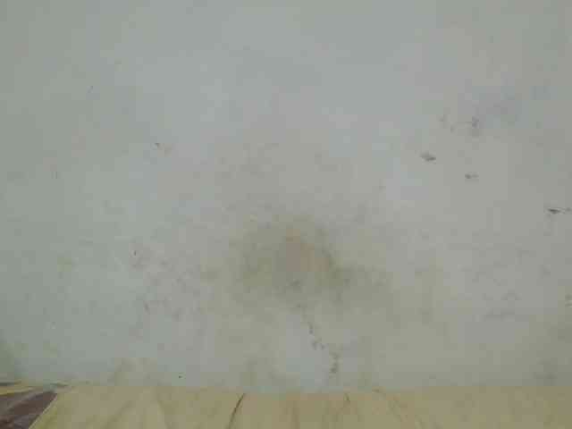 Anique24 webcam