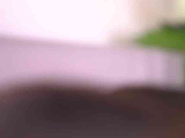 NikaFl0wer webcam