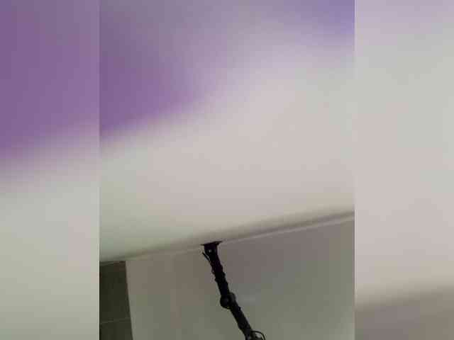 HannaLane webcam