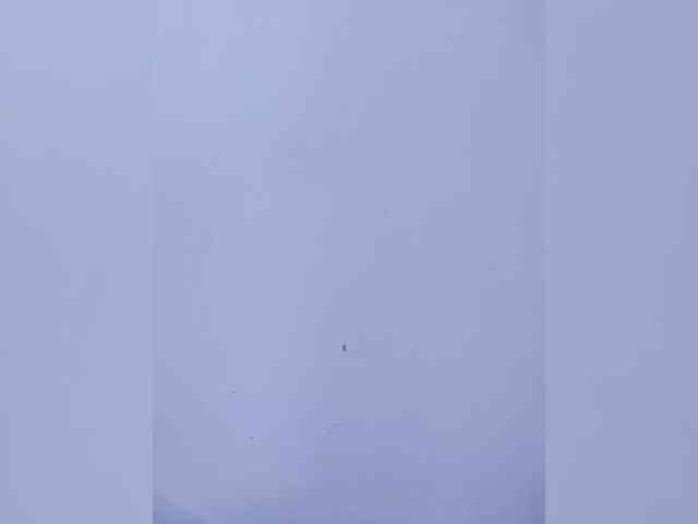 HannaLane webcam