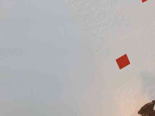 KiannaSex08 Live Webcam on BongaCams