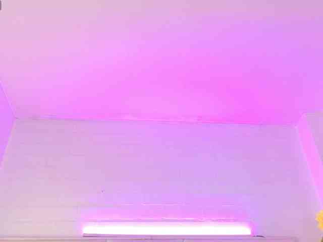 AshtonMyers AshtonMyers