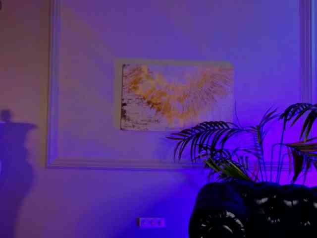 Inari-Okami webcam