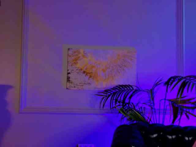 Inari-Okami webcam
