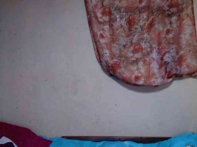 roxanne98 webcam