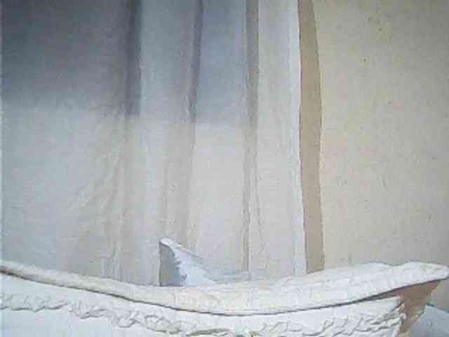 Lekah webcam