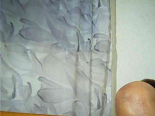 Lekah webcam